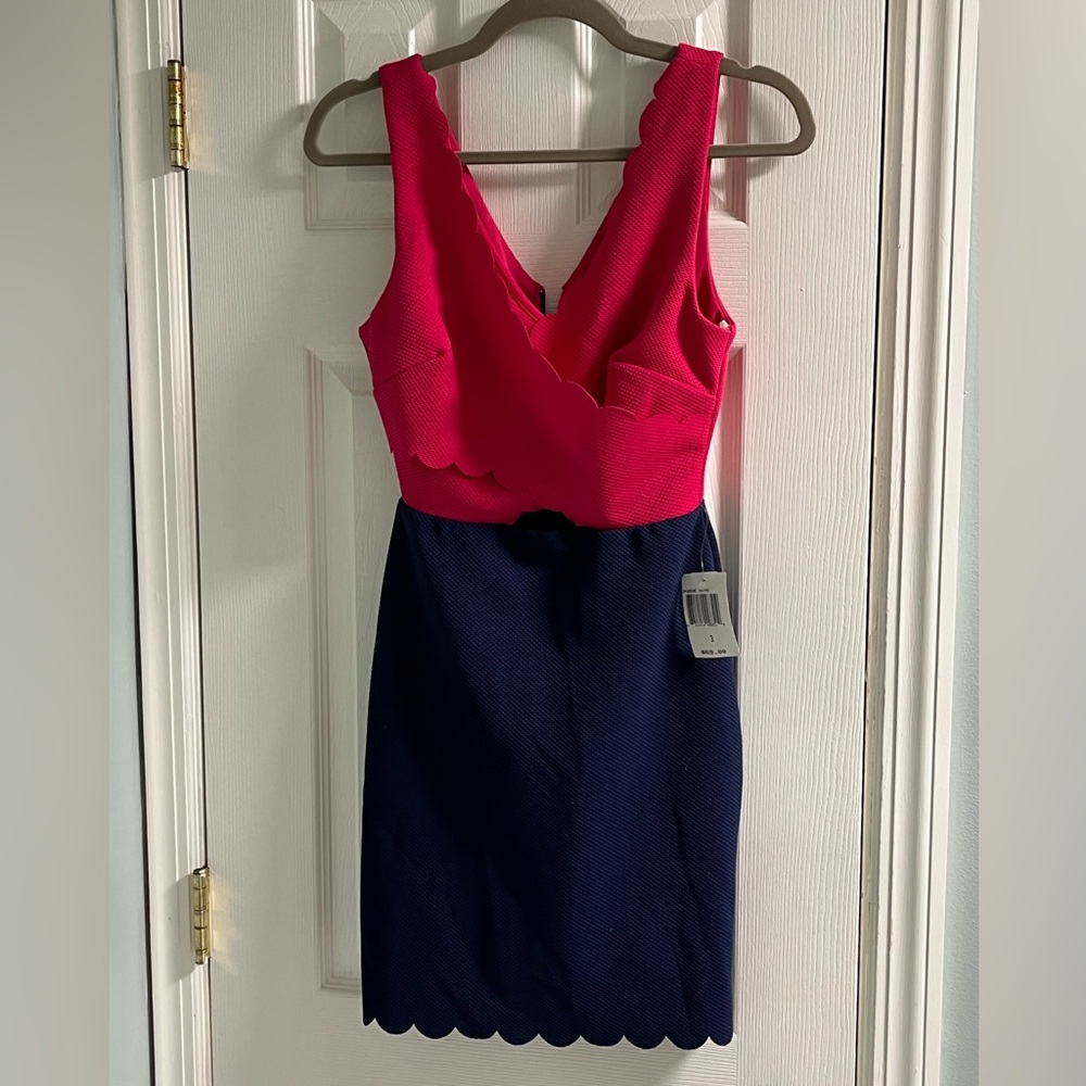 NWT Elegant Pink and Navy Dress